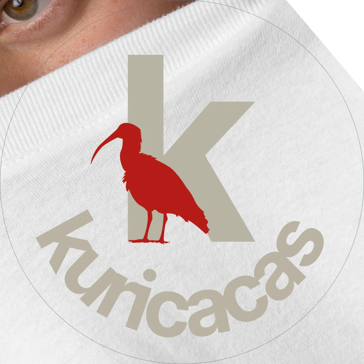 Logotipo - Logomarca - Identidade Visual
