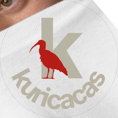Logotipo - Logomarca - Identidade Visual